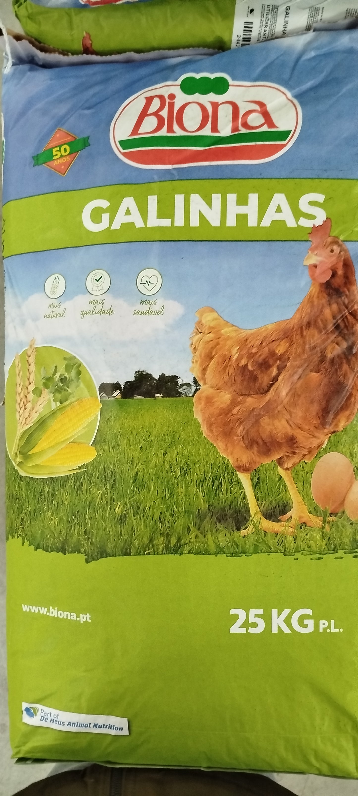 Avidiona Campo 120 (POEDEIRAS)