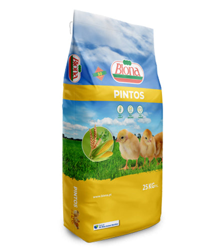 Pintos 104 GRA